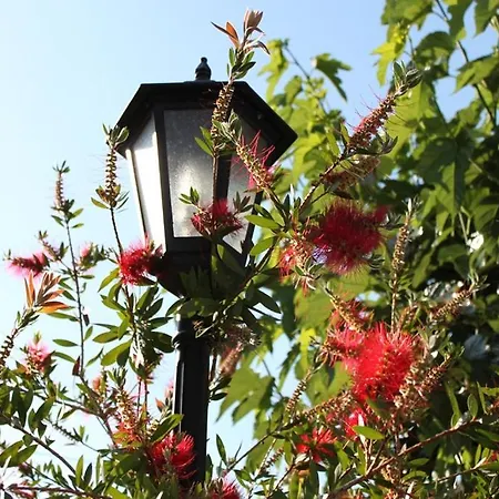 Country house El Molinet Del Governador- Rurales *